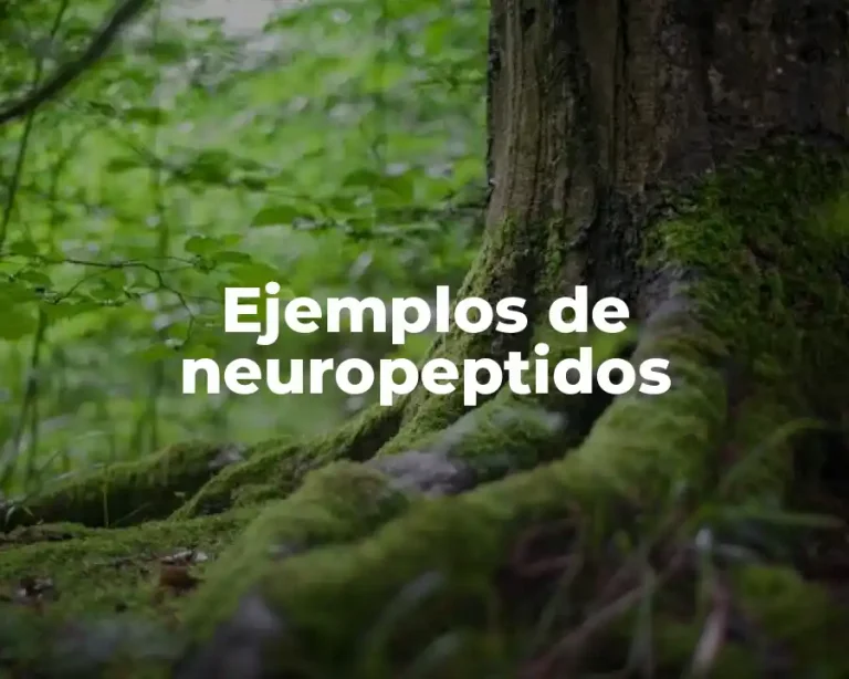 Ejemplos de neuropeptidos