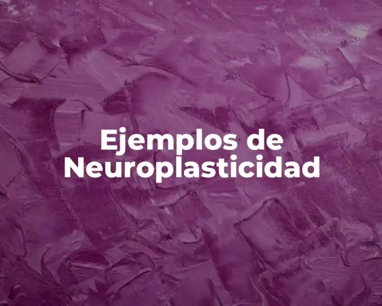 Ejemplos de Neuroplasticidad