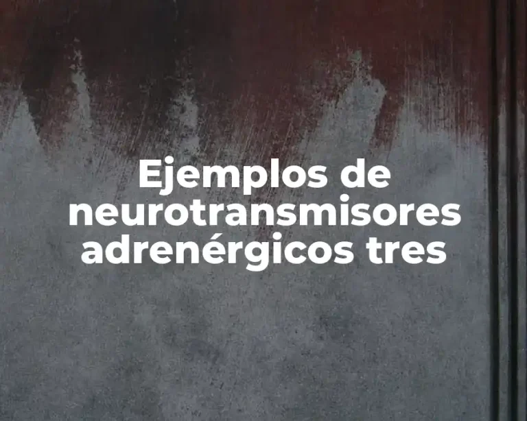 Ejemplos de neurotransmisores adrenérgicos tres
