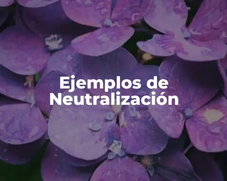 Ejemplos de Neutralización