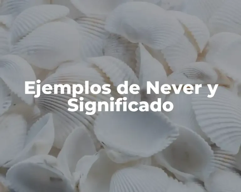 Ejemplos de Never y Significado