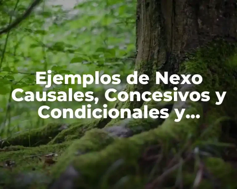 Ejemplos de Nexo Causales, Concesivos y Condicionales y Significado