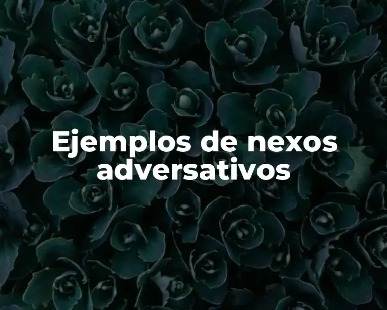 Ejemplos de nexos adversativos