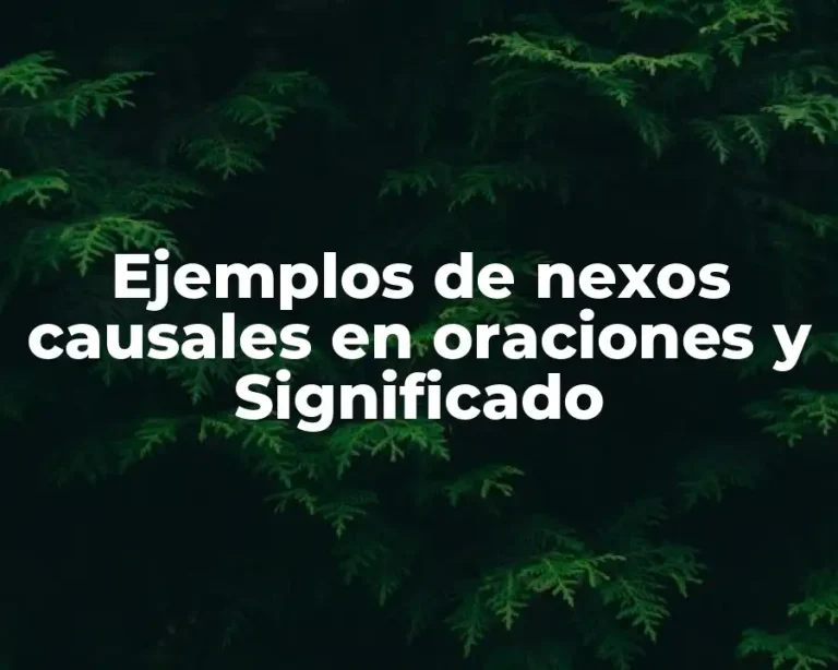 Ejemplos de nexos causales en oraciones y Significado