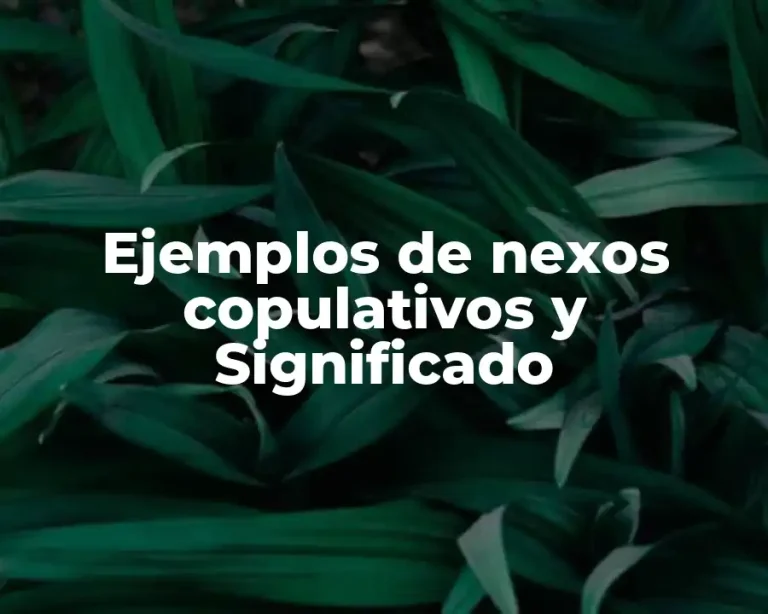 Ejemplos de nexos copulativos y Significado