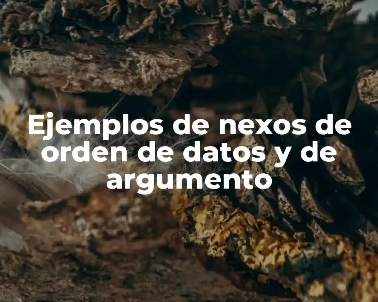 Ejemplos de nexos de orden de datos y de argumento