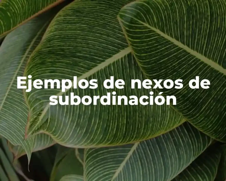 Ejemplos de nexos de subordinación