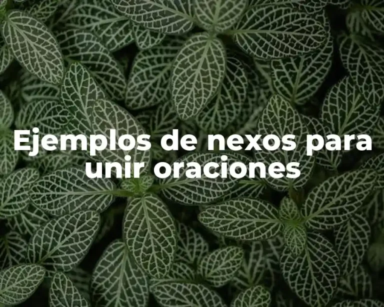 Ejemplos de nexos para unir oraciones