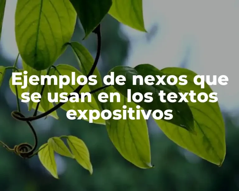 Ejemplos de nexos que se usan en los textos expositivos
