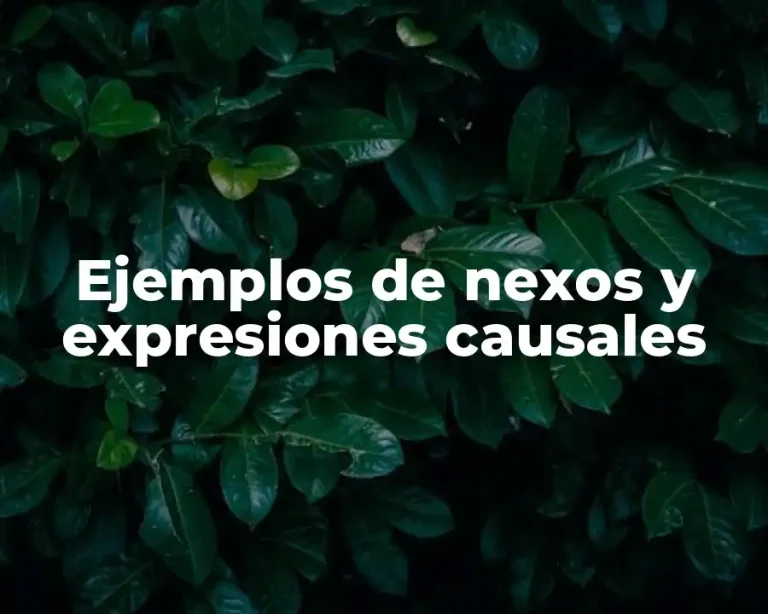 Ejemplos de nexos y expresiones causales