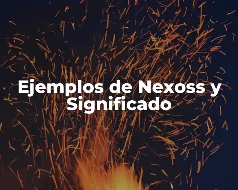 Ejemplos de Nexoss y Significado