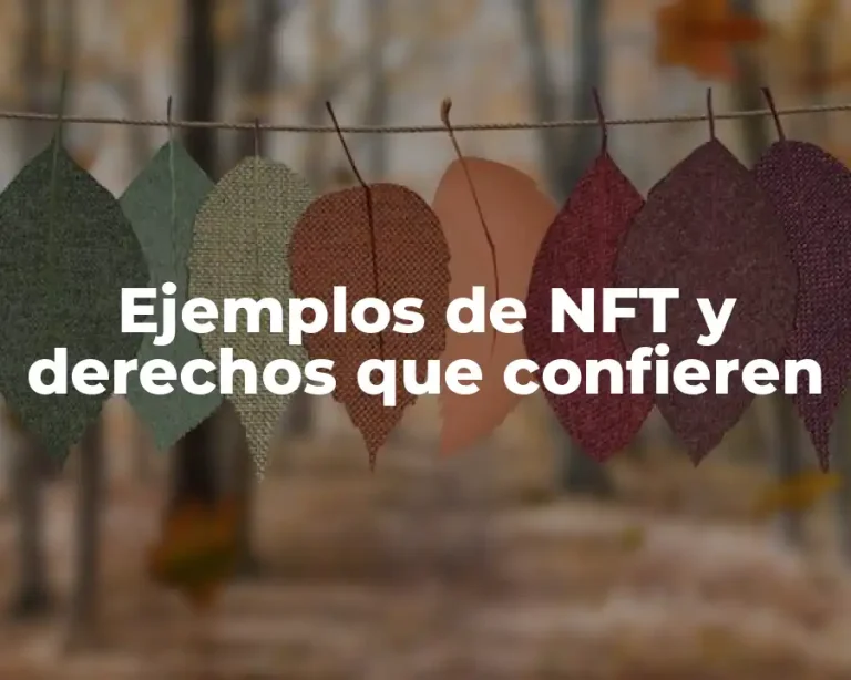 Ejemplos de NFT y derechos que confieren