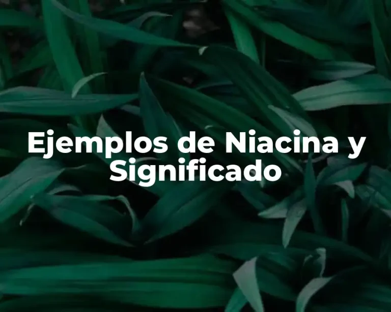 Ejemplos de Niacina y Significado