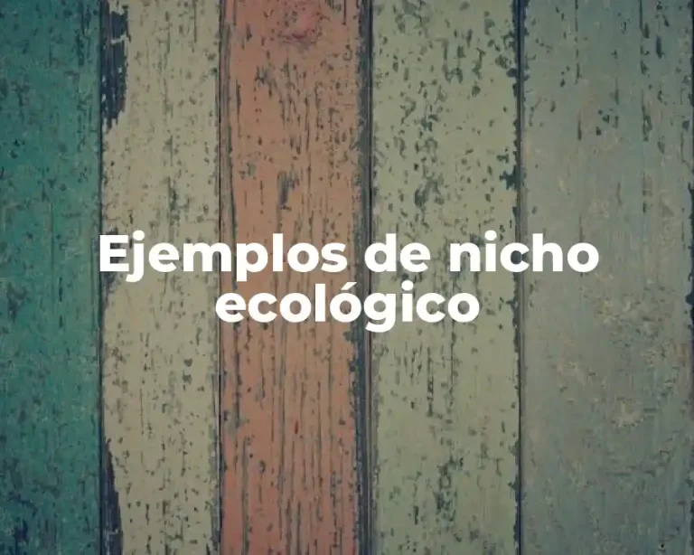 Ejemplos de nicho ecológico