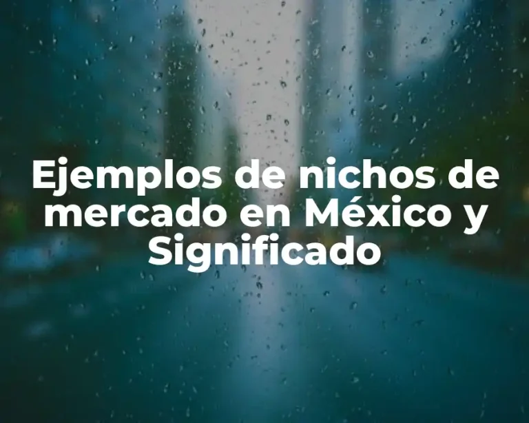 Ejemplos de nichos de mercado en México y Significado