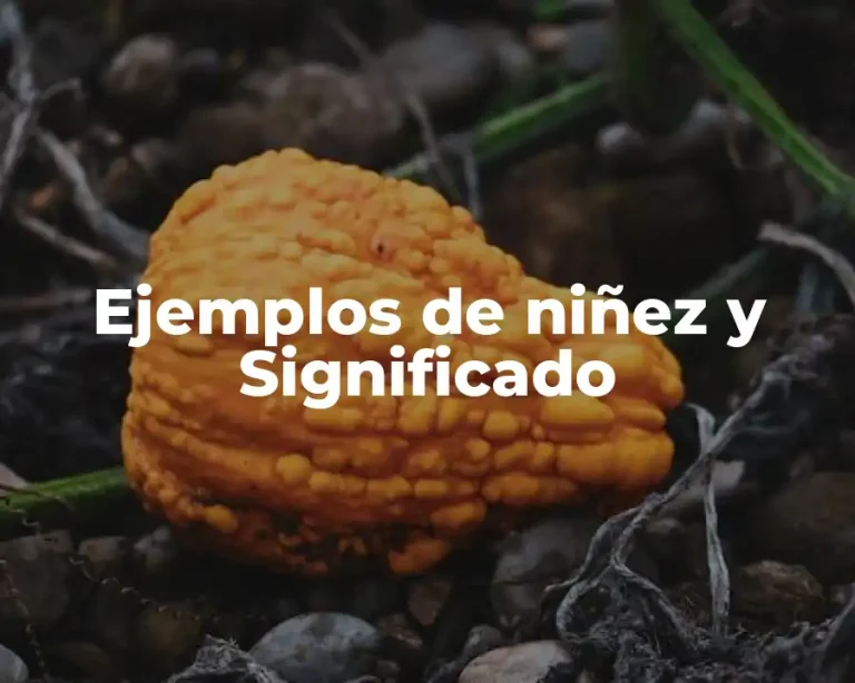 Ejemplos de niñez y Significado