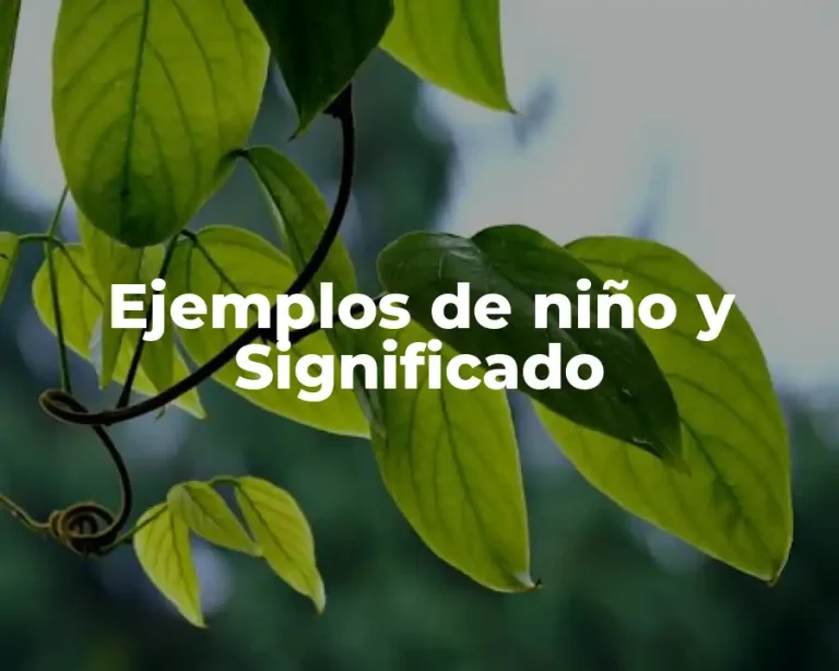 Ejemplos de niño y Significado