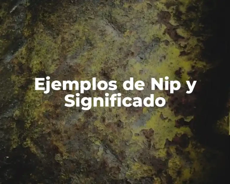 Ejemplos de Nip y Significado