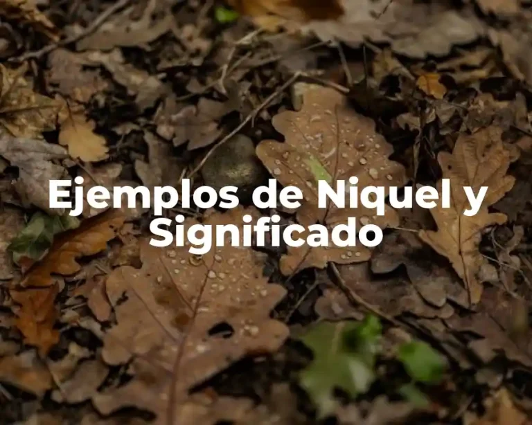Ejemplos de Niquel y Significado