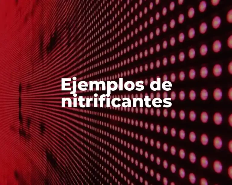 Ejemplos de nitrificantes