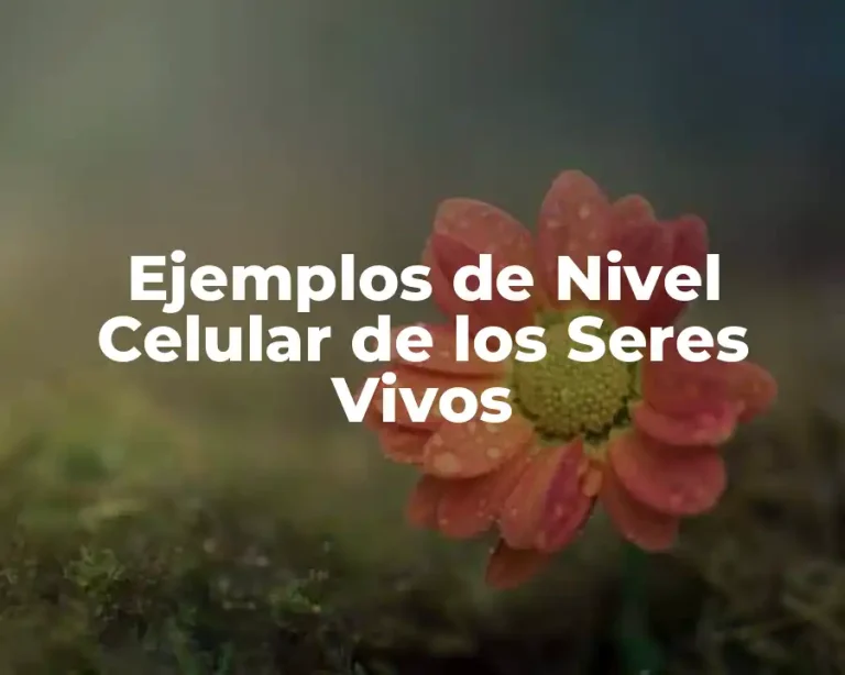 Ejemplos de Nivel Celular de los Seres Vivos