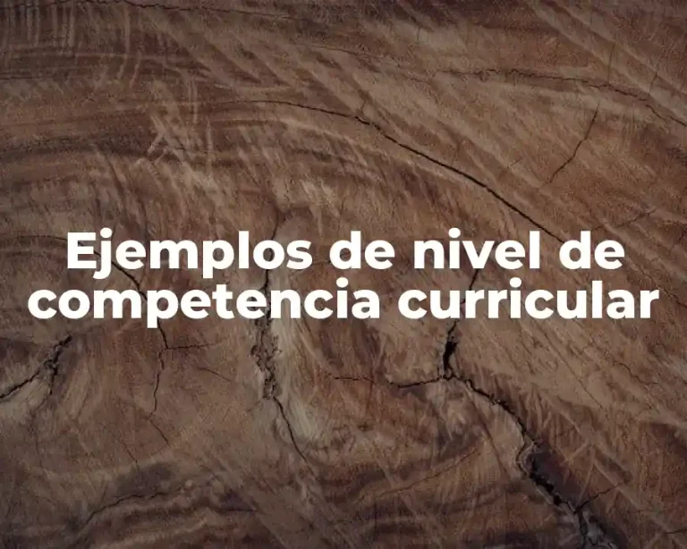 Ejemplos de nivel de competencia curricular