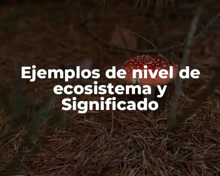 Ejemplos de nivel de ecosistema y Significado