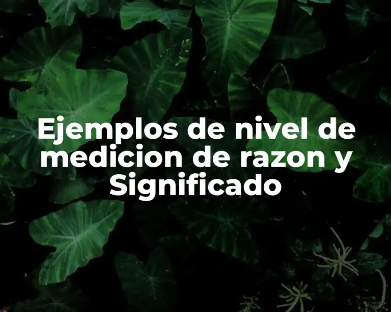 Ejemplos de nivel de medicion de razon y Significado