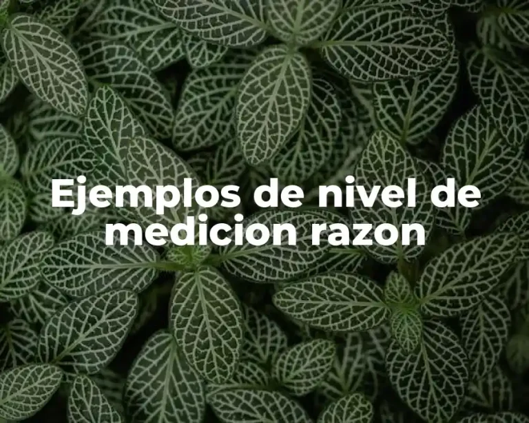 Ejemplos de nivel de medicion razon