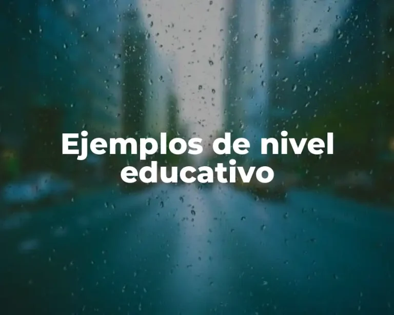Ejemplos de nivel educativo