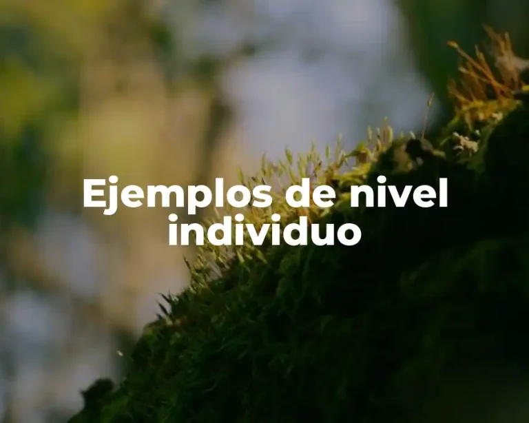 Ejemplos de nivel individuo