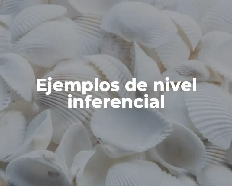 Ejemplos de nivel inferencial