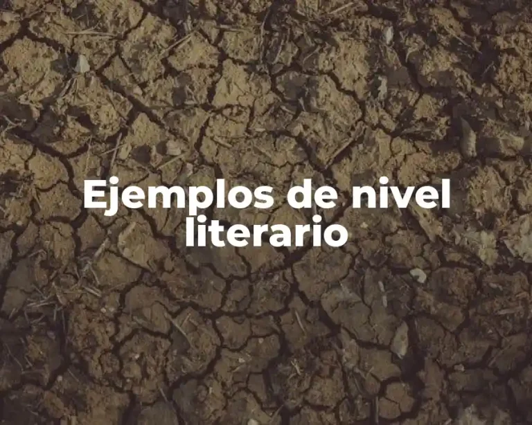 Ejemplos de nivel literario
