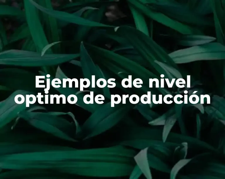 Ejemplos de nivel optimo de producción