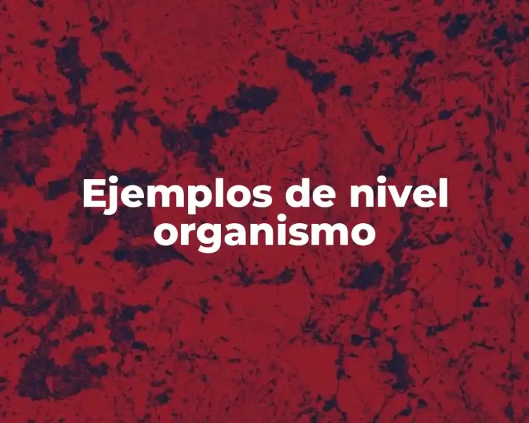Ejemplos de nivel organismo