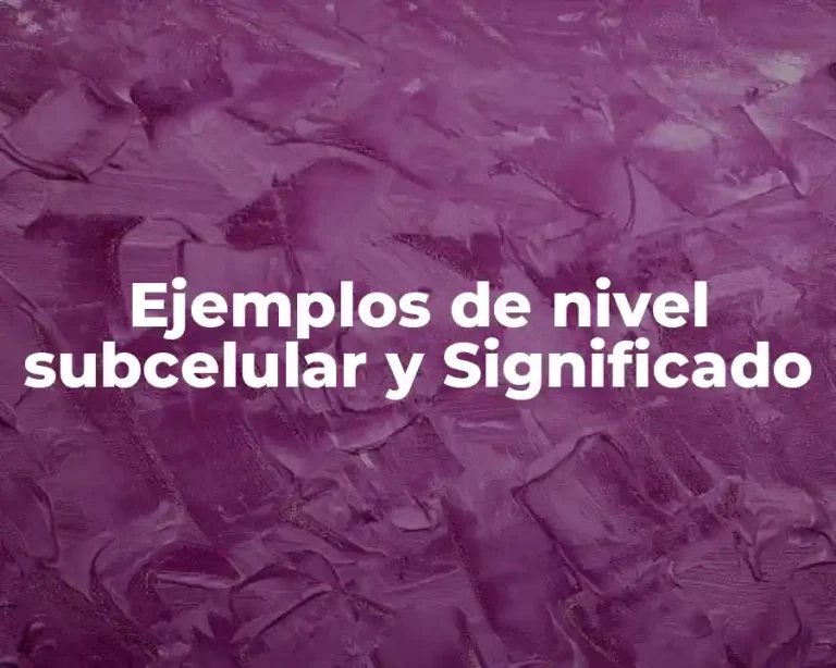 Ejemplos de nivel subcelular y Significado