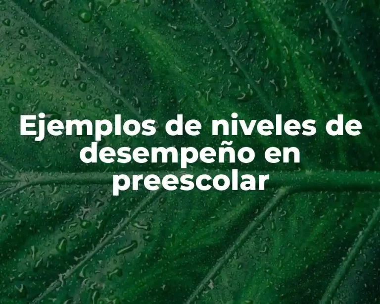 Ejemplos de niveles de desempeño en preescolar