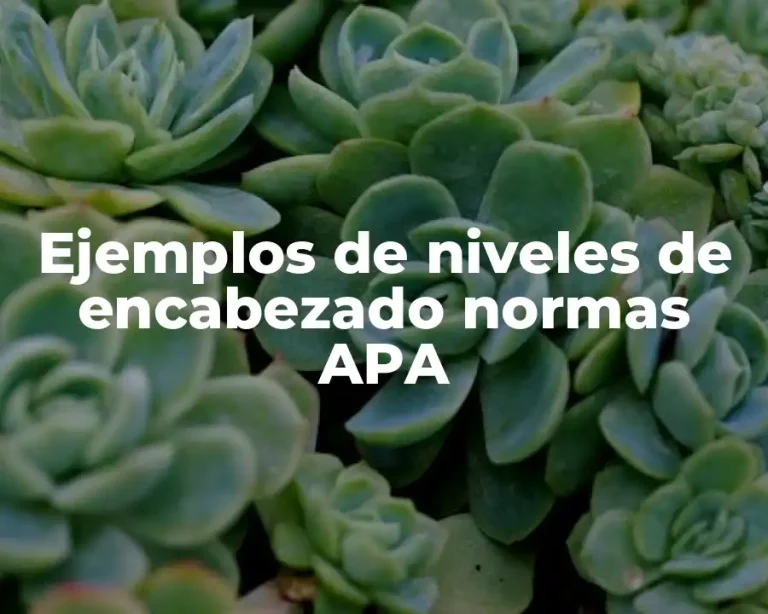 Ejemplos de niveles de encabezado normas APA