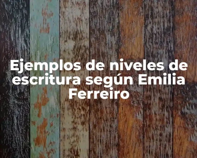 Ejemplos de niveles de escritura según Emilia Ferreiro