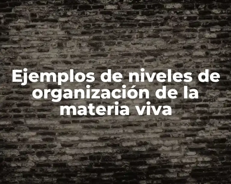 Ejemplos de niveles de organización de la materia viva