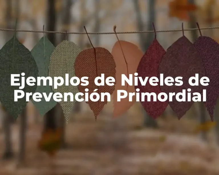 Ejemplos de Niveles de Prevención Primordial