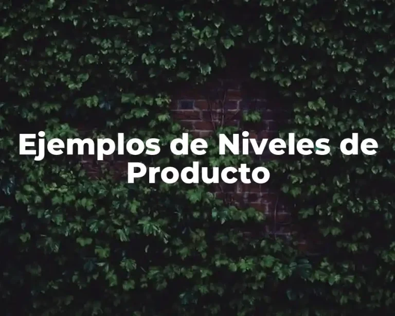 Ejemplos de Niveles de Producto