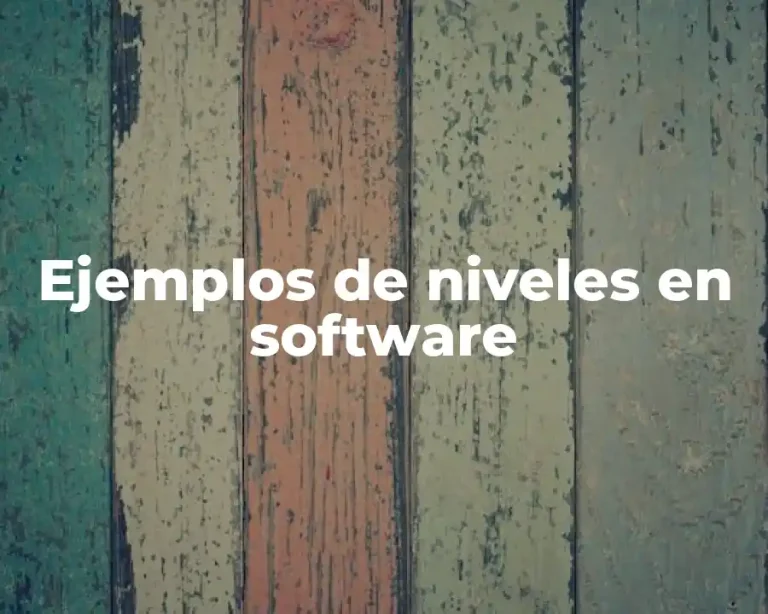 Ejemplos de niveles en software