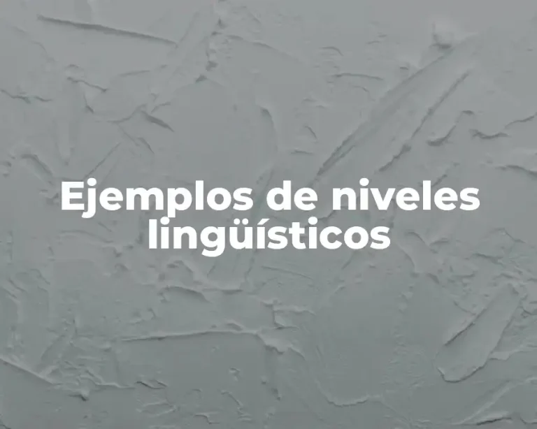 Ejemplos de niveles lingüísticos