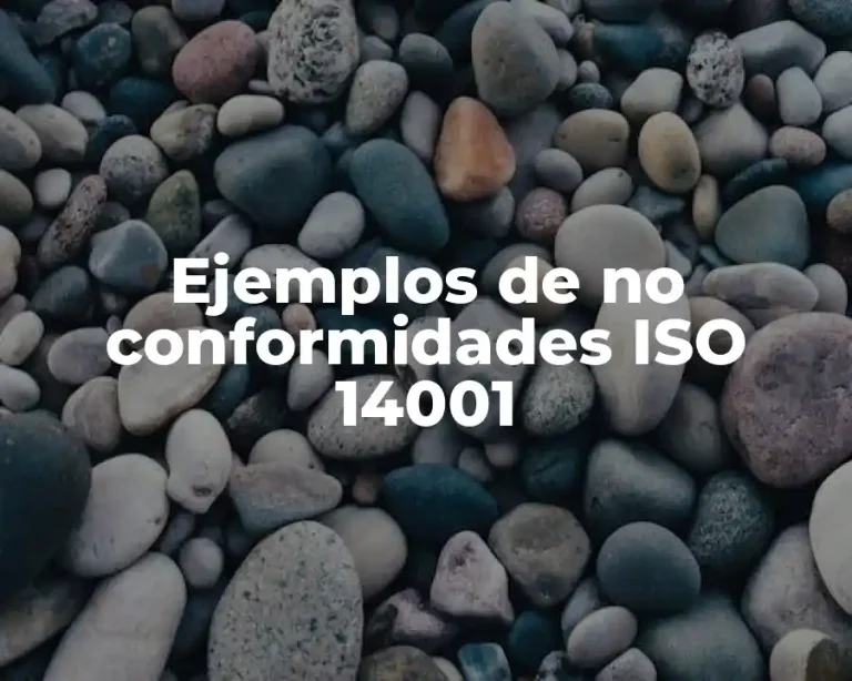 Ejemplos de no conformidades ISO 14001