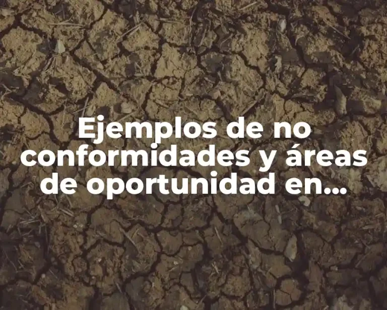 Ejemplos de no conformidades y áreas de oportunidad en auditoría