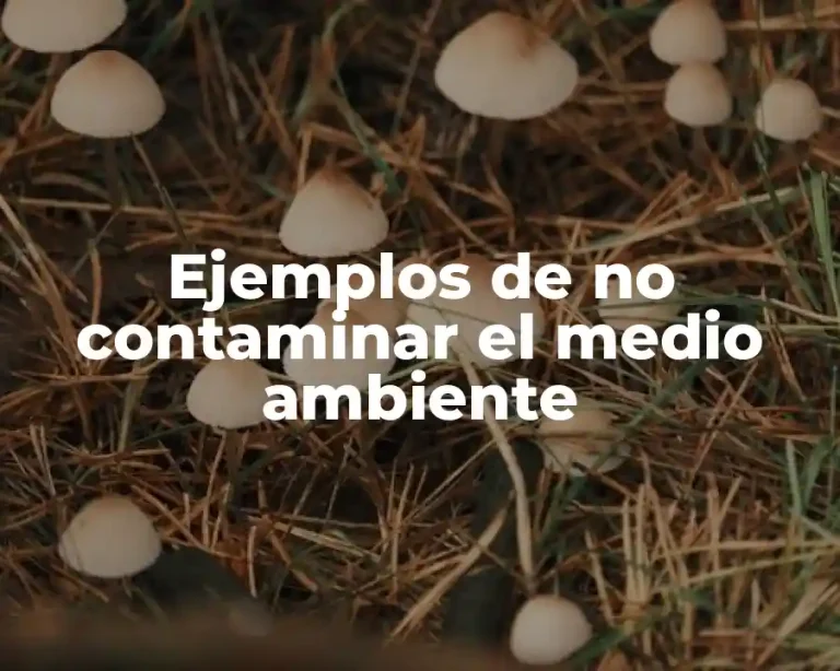 Ejemplos de no contaminar el medio ambiente