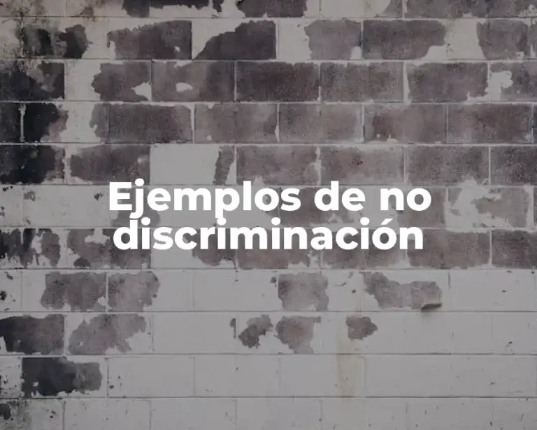 Ejemplos de no discriminación