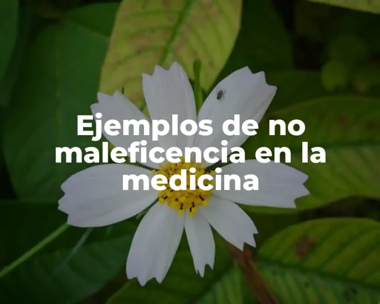 Ejemplos de no maleficencia en la medicina