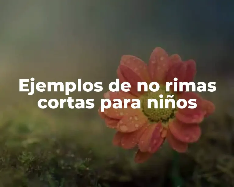Ejemplos de no rimas cortas para niños
